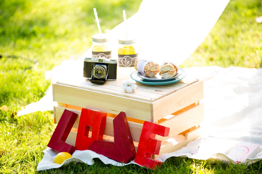 engagement session (7)