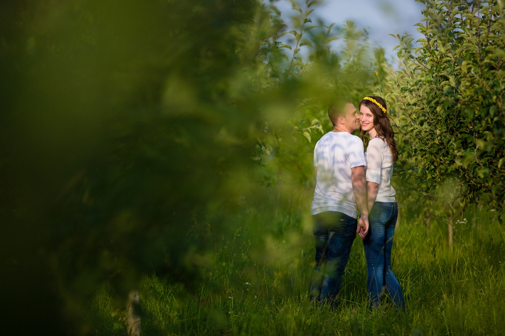 sedinta foto de logodna george ionita (20)