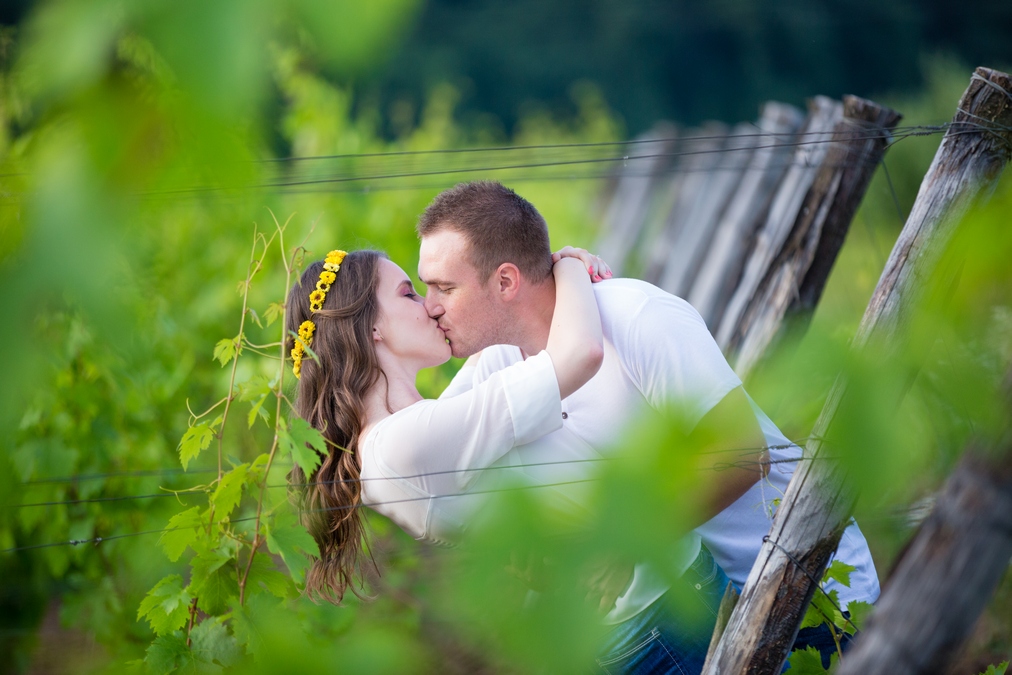 sedinta foto de logodna george ionita (22)