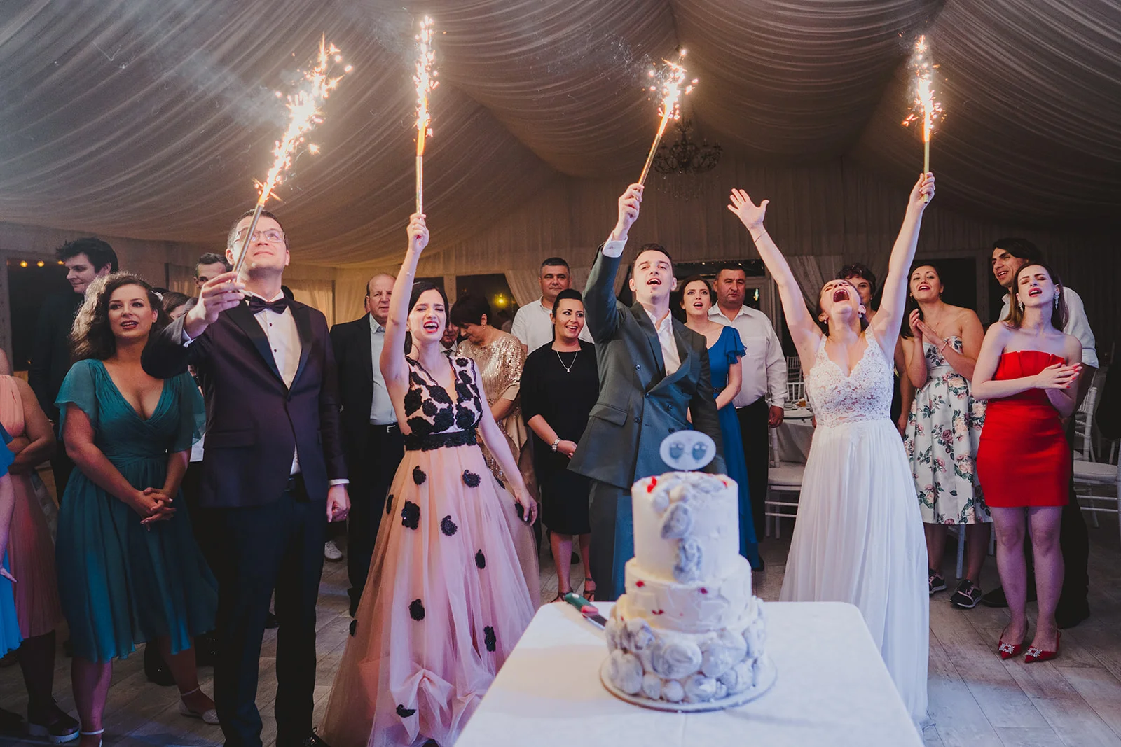 fotografi nunta ilfov